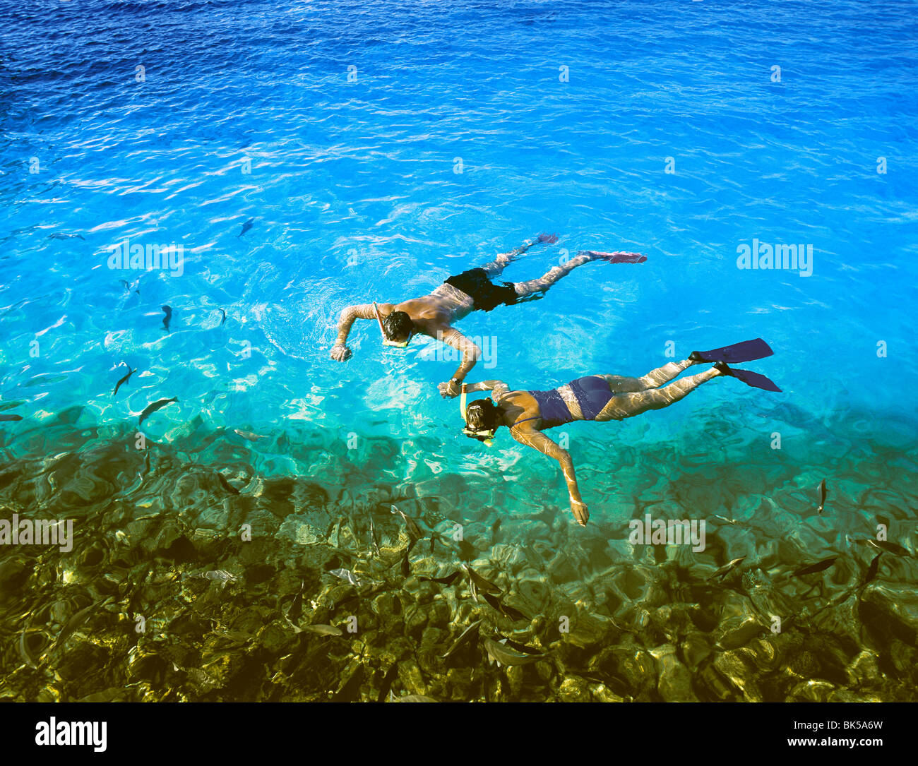 Couple snorkelling, Maldives, Indian Ocean, Asia Stock Photo