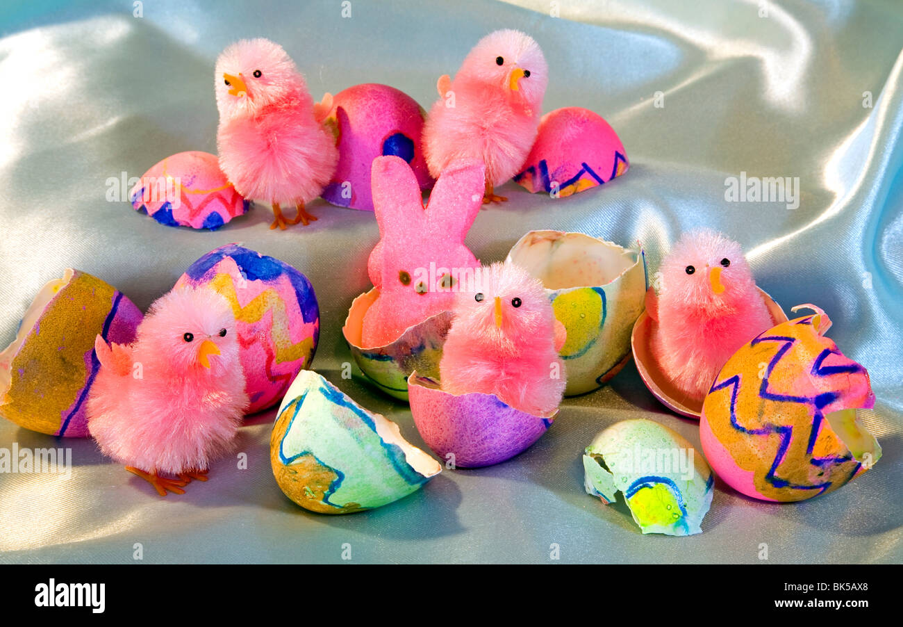 Easter Bunny Chick Basket Egg Eggs Hatch Stock Photo Alamy Easter Bunny Chick Basket Egg Eggs Hatch Stock Photo Alamy