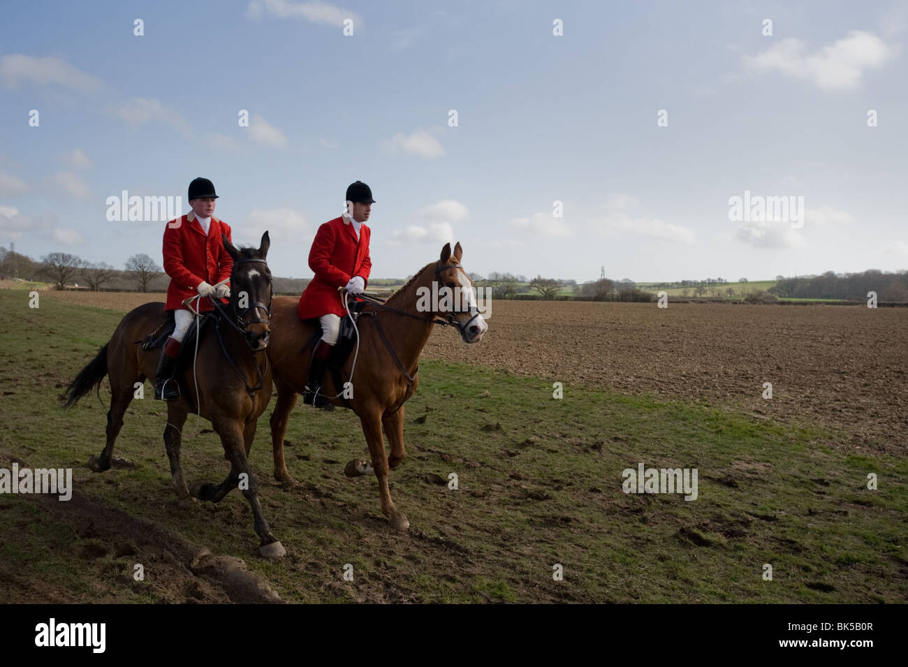 Two hunting ponies on the course at a race meeting Stock Photo