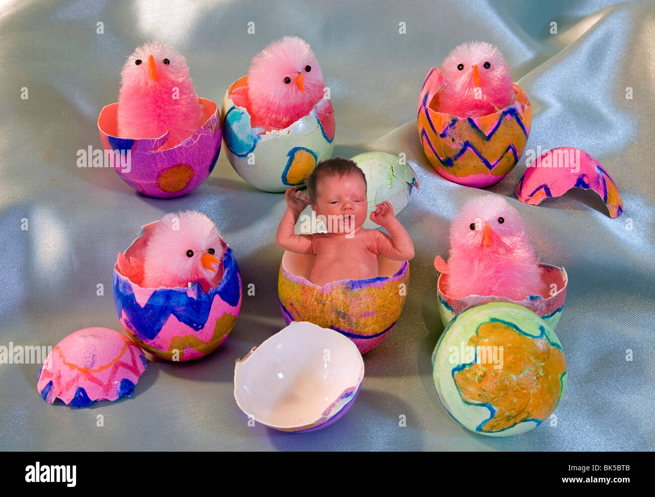 hatching chick toy