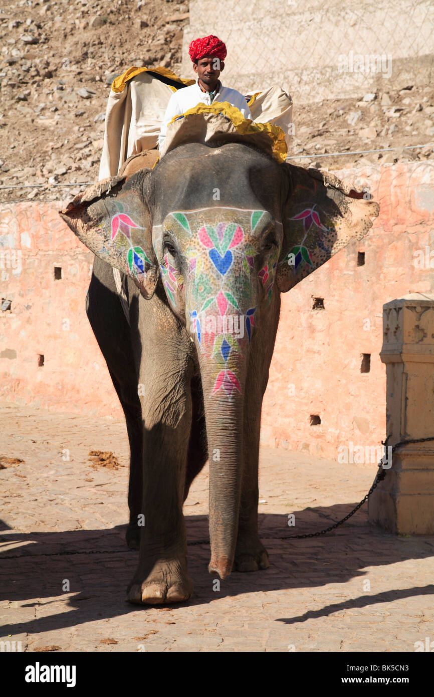 Mahout and elephant, Amber Fort Palace, Jaipur, Rajasthan, India, Asia Stock Photo