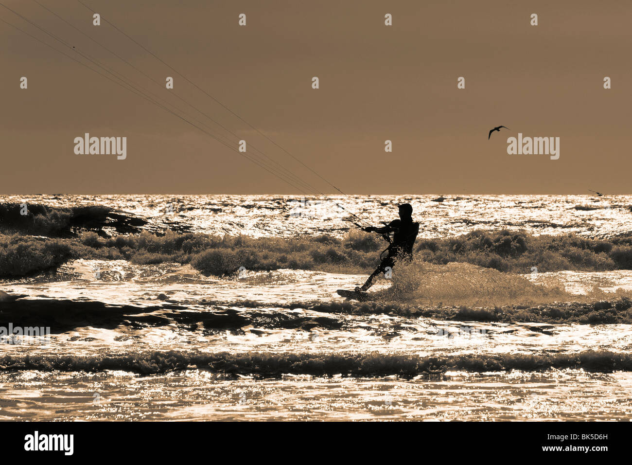 Surfer movement hi-res stock photography and images - Alamy