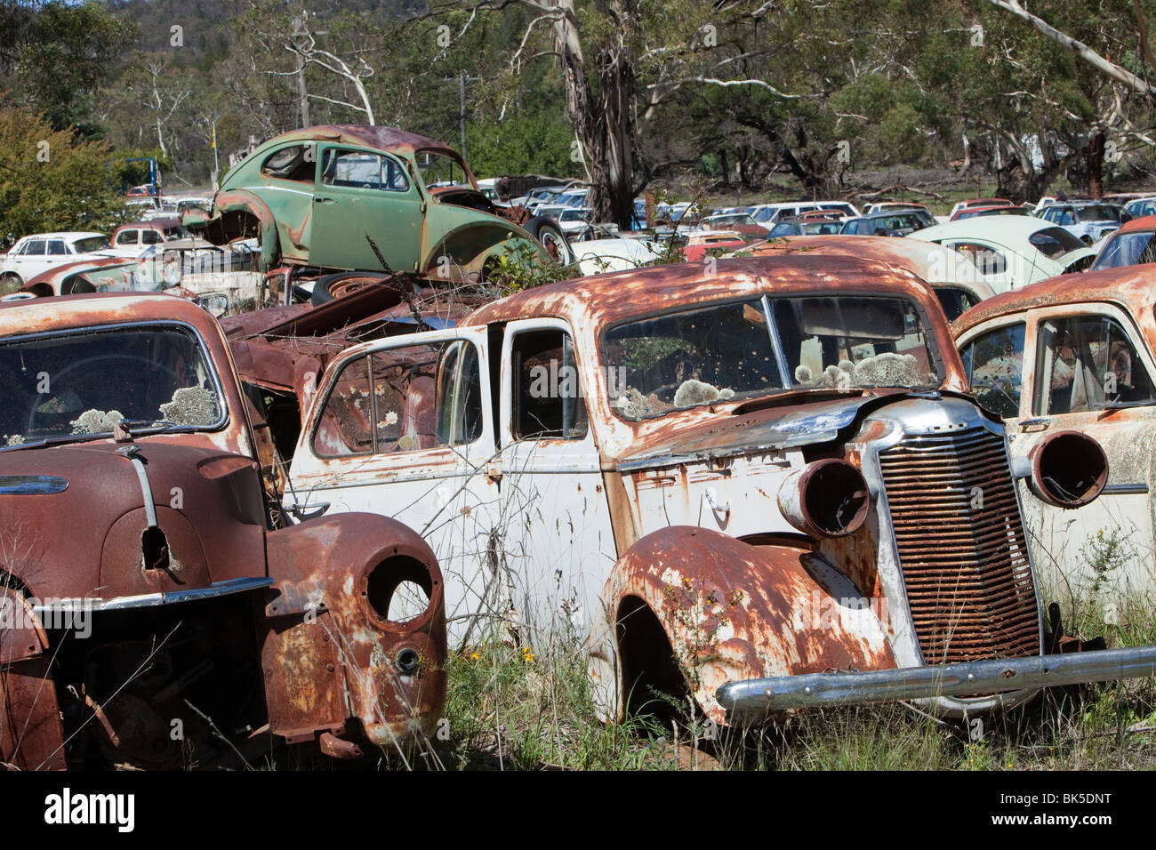 Flynns wrecking yard near Cooma in New South Wales, Australia. It is in