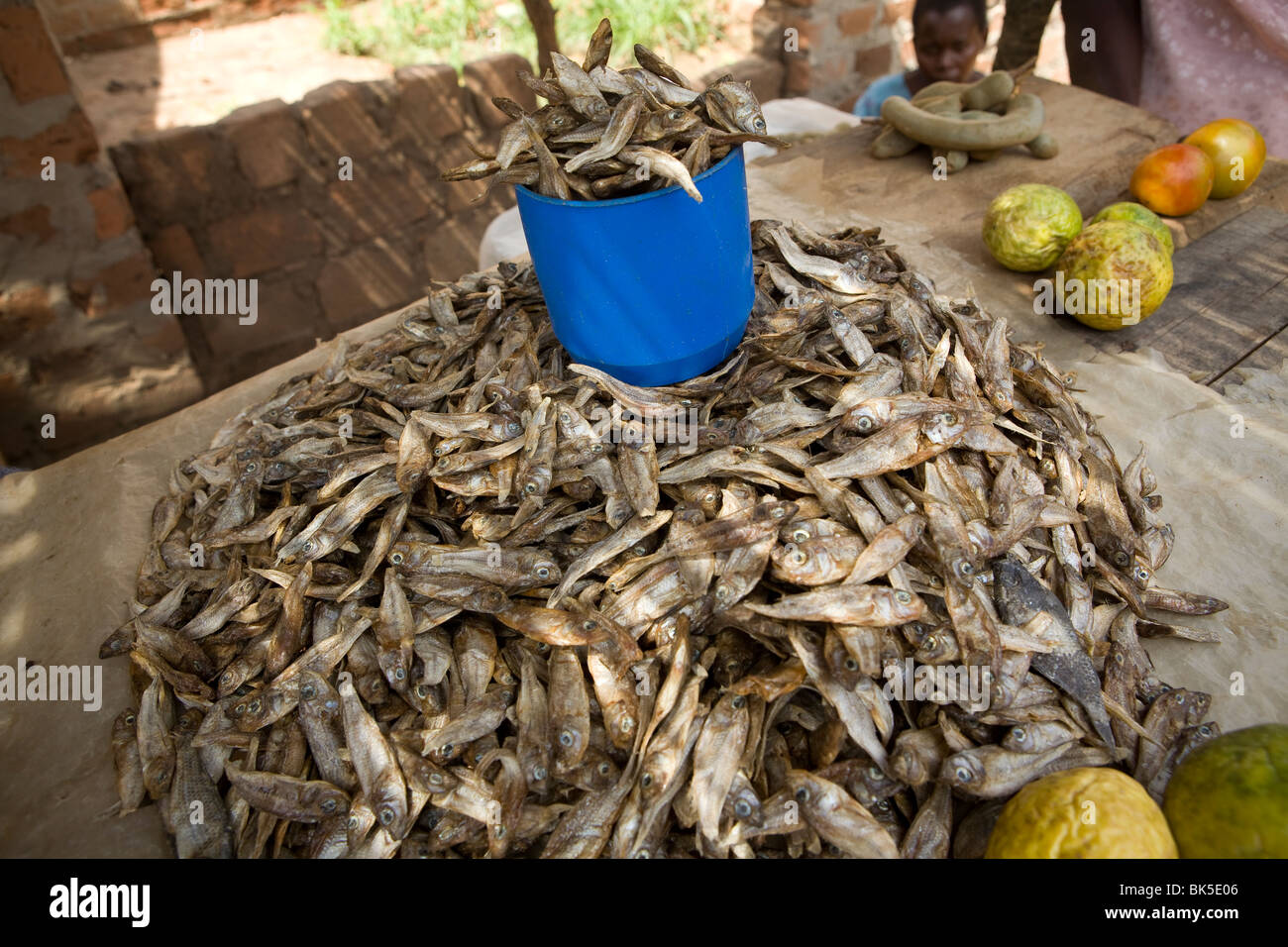 Fish for sale at the market in Amuria District, Teso Subregion, Uganda, East Africa. Stock Photo