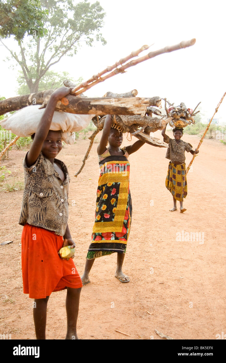 Africa Burkina Fasoview Of Overloaded African Vehicle Carrying Firewood  Logs High-Res Stock Photo - Getty Images
