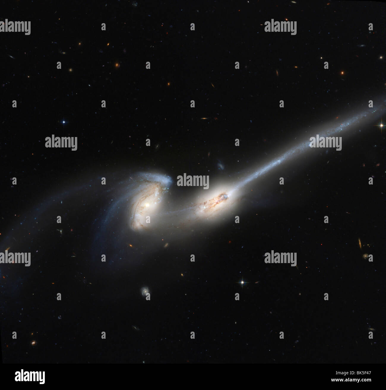 NGC 4676, or the Mice Galaxies, are two spiral galaxies in the constellation Coma Berenices Stock Photo