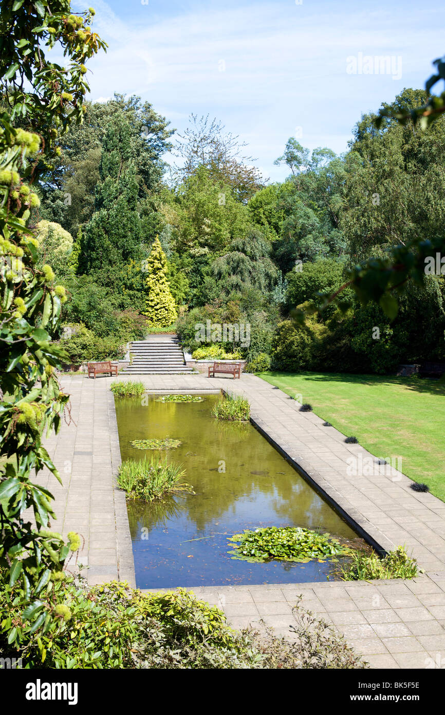 Ornamental pond, Golders Hill Park, bordering on Hampstead Heath, London, England, United Kingdom, Europe Stock Photo