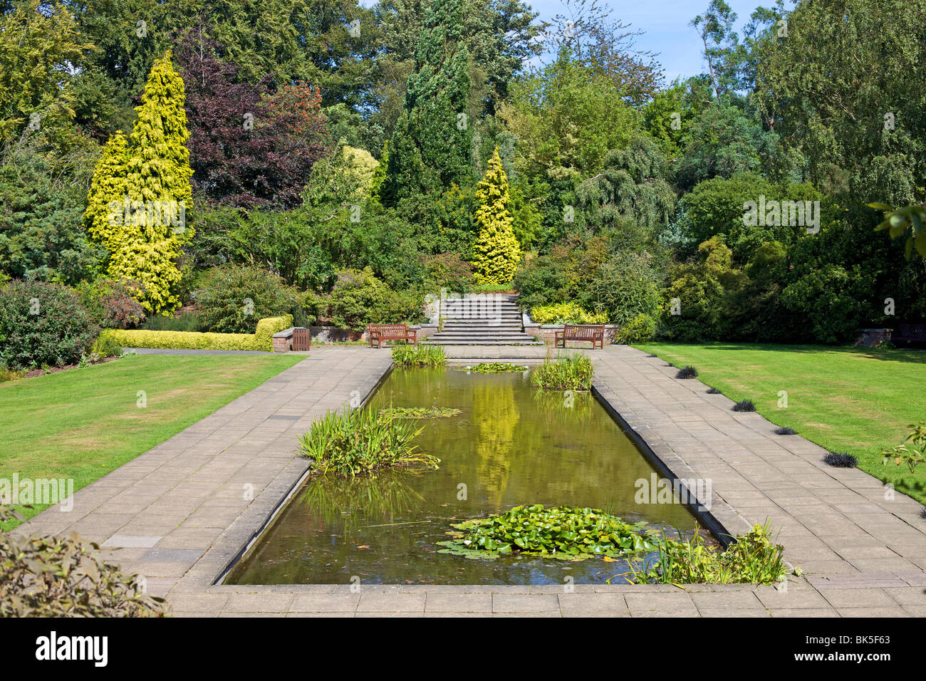 Ornamental pond, Golders Hill Park, bordering on Hampstead Heath, London, England, United Kingdom, Europe Stock Photo