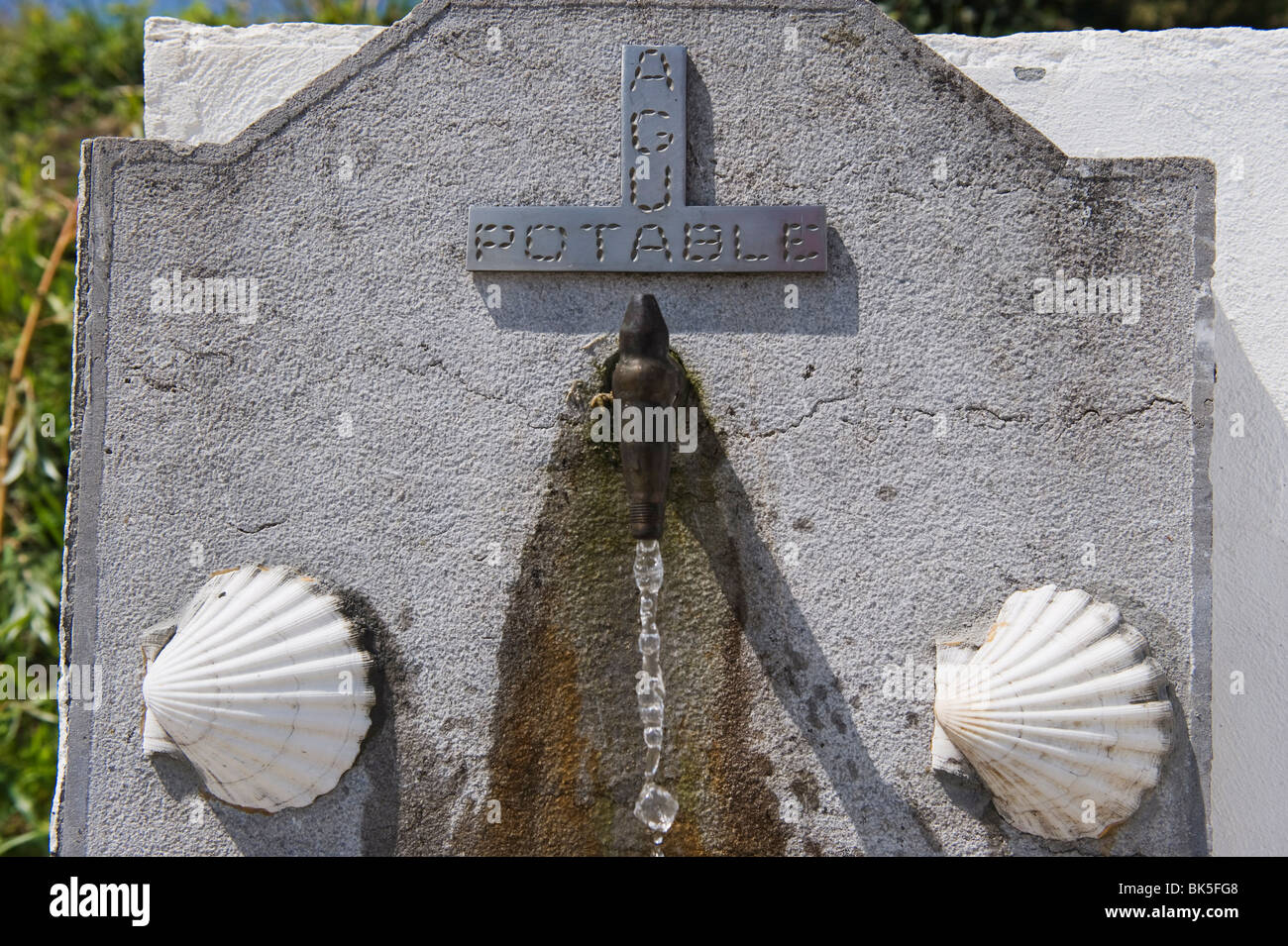 Scallop shells on a water fountain, on the Camino de Santiago, Spain, Europe Stock Photo