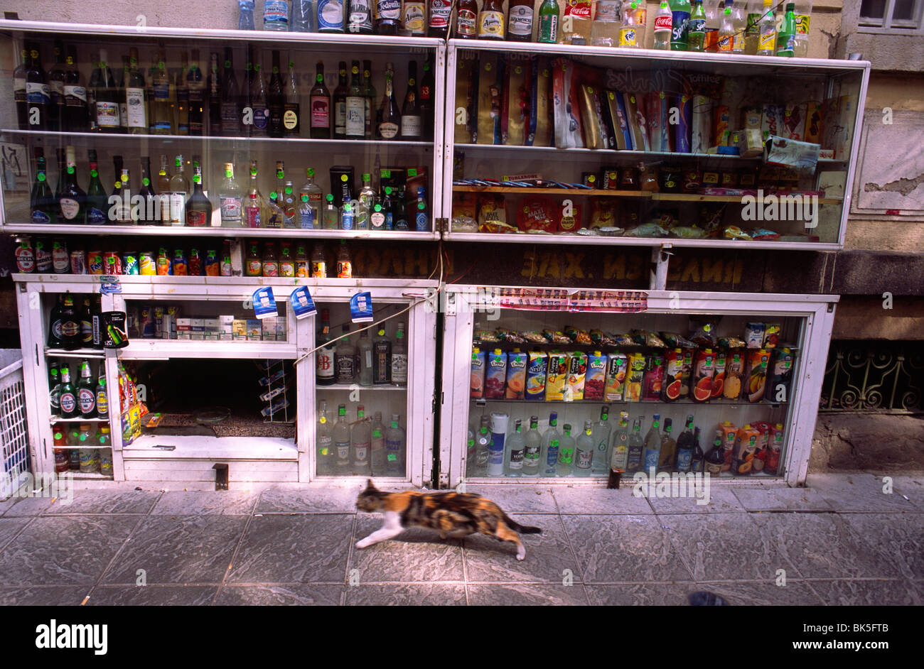A shop window in Sofia, Bulgaria, seems to be at just the right height ? for a cat! Stock Photo