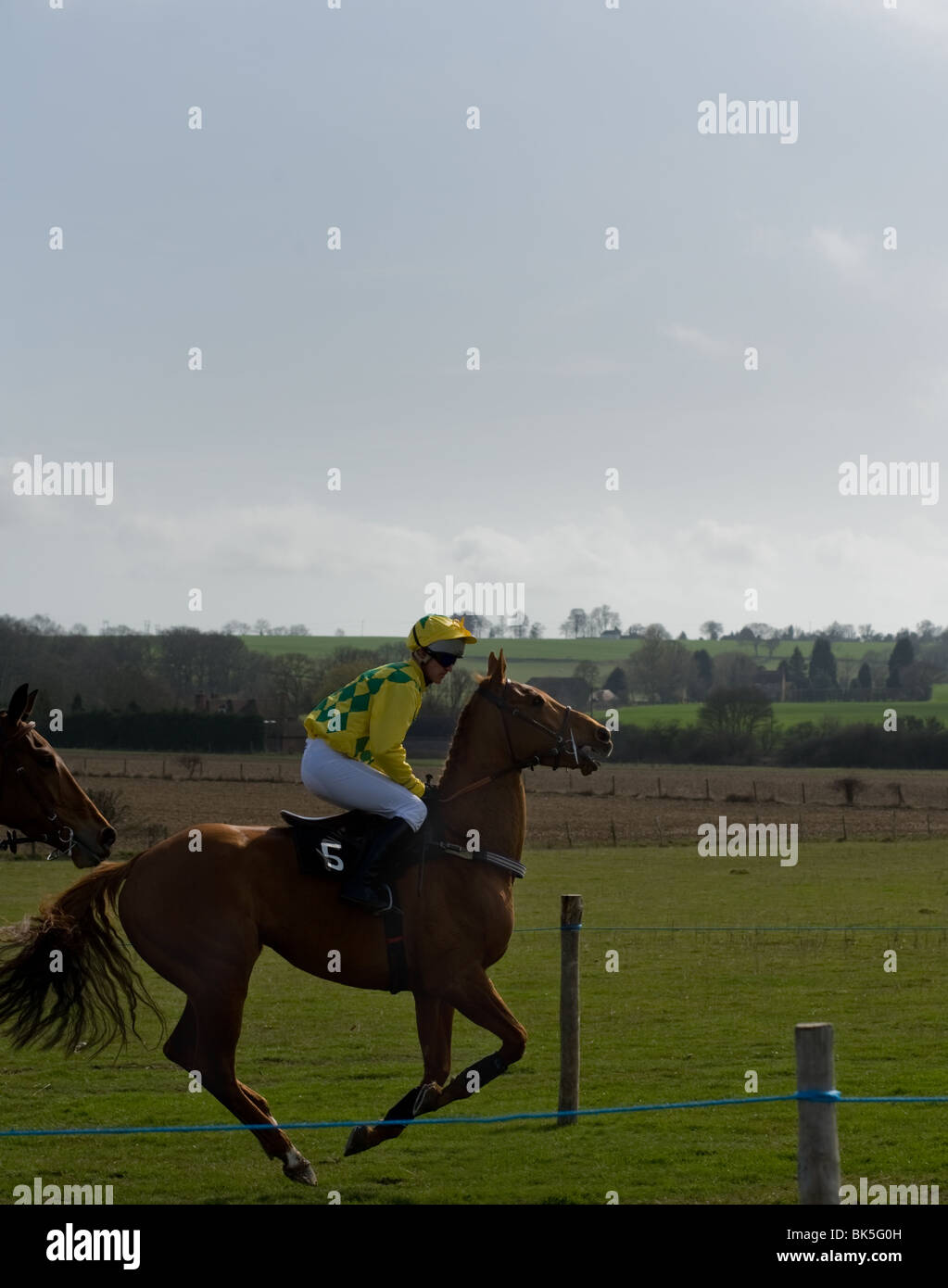 One horse closely follows another at a race meeting Stock Photo