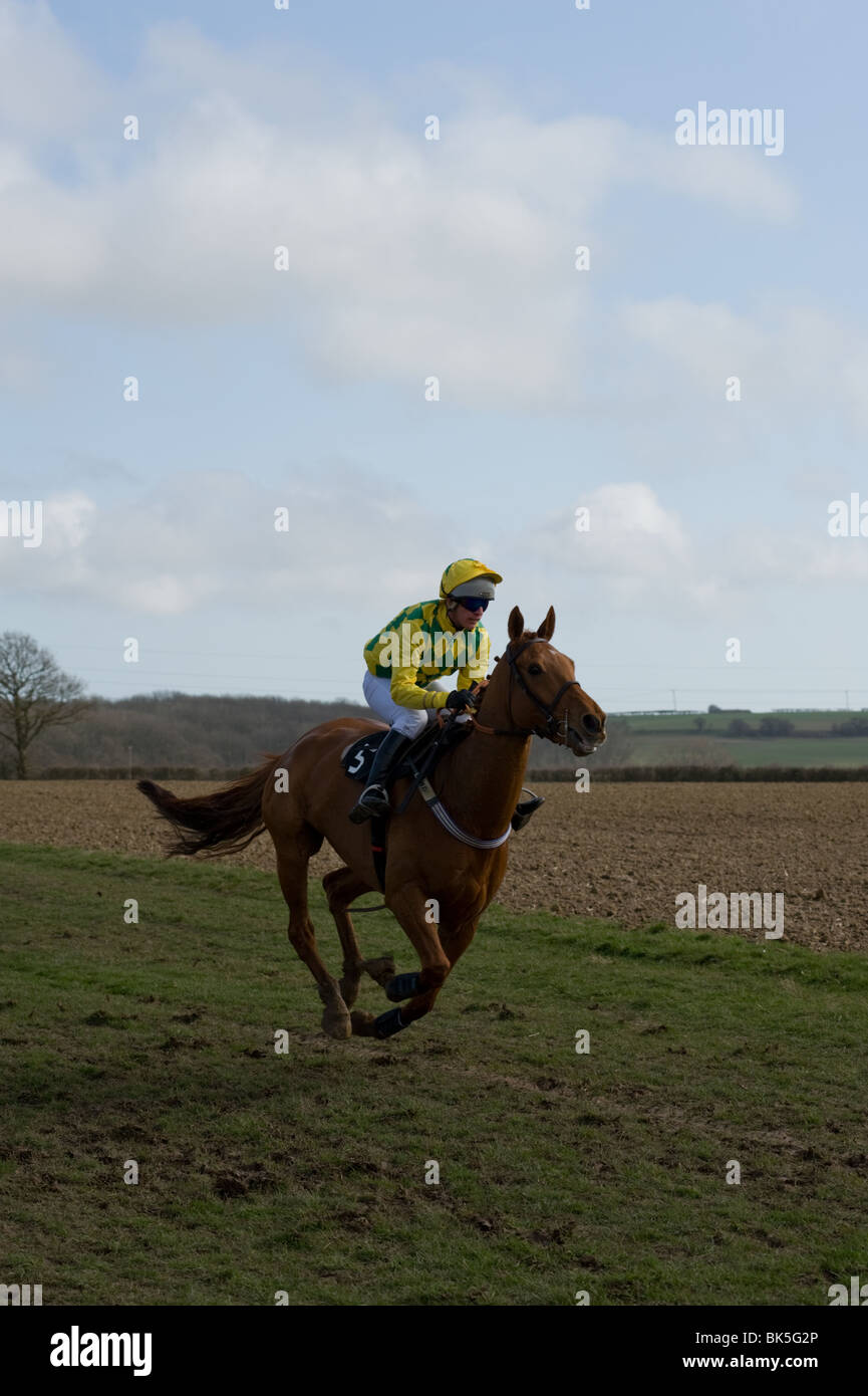 A horse racing during a meeting Stock Photo