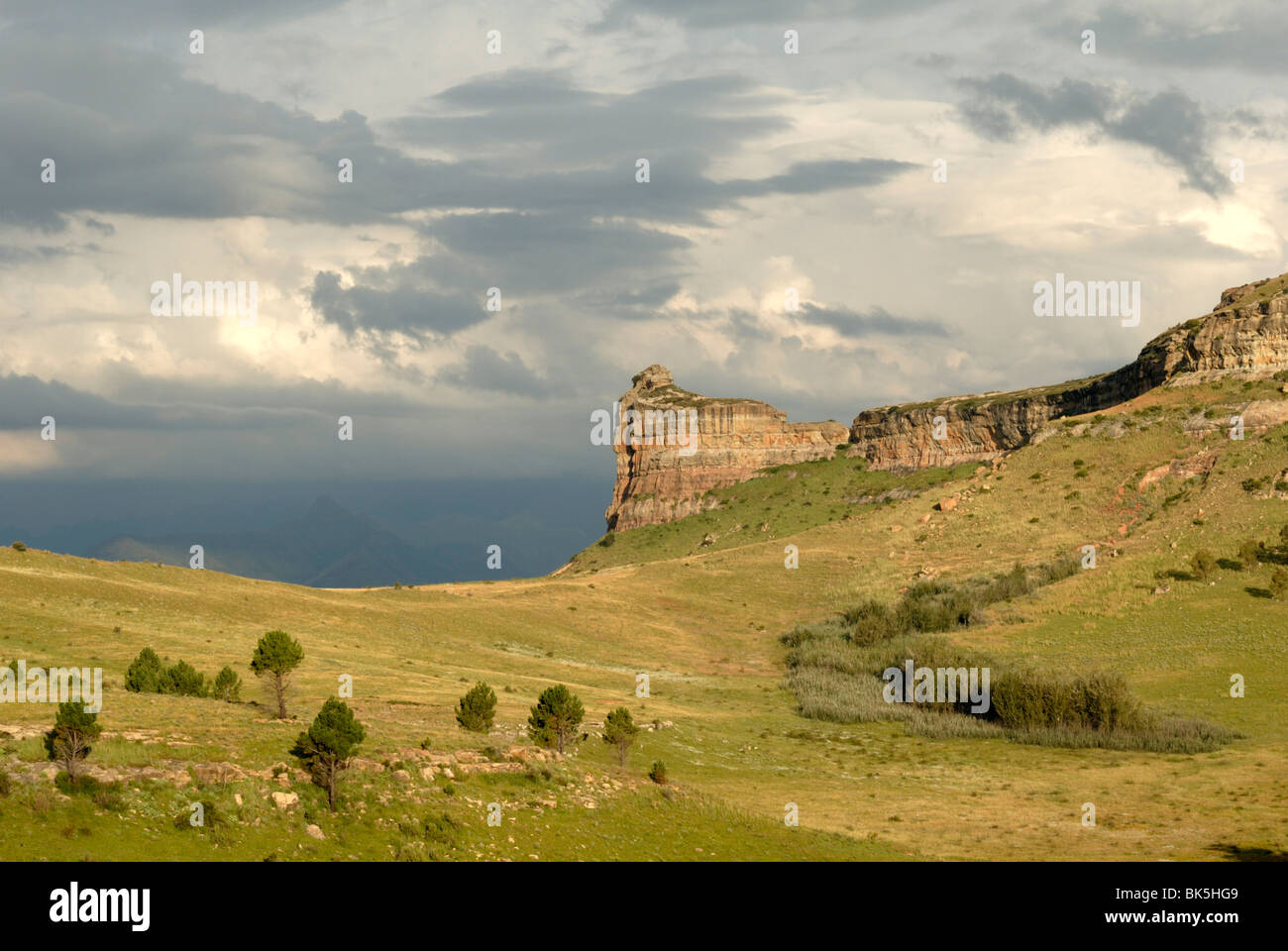 Landscape near Clarens, South Africa, Africa Stock Photo