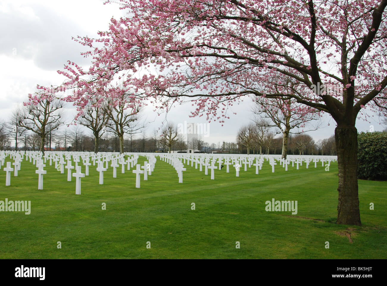 US military cemetery and memorial Margraten near Maastricht, Netherlands Stock Photo