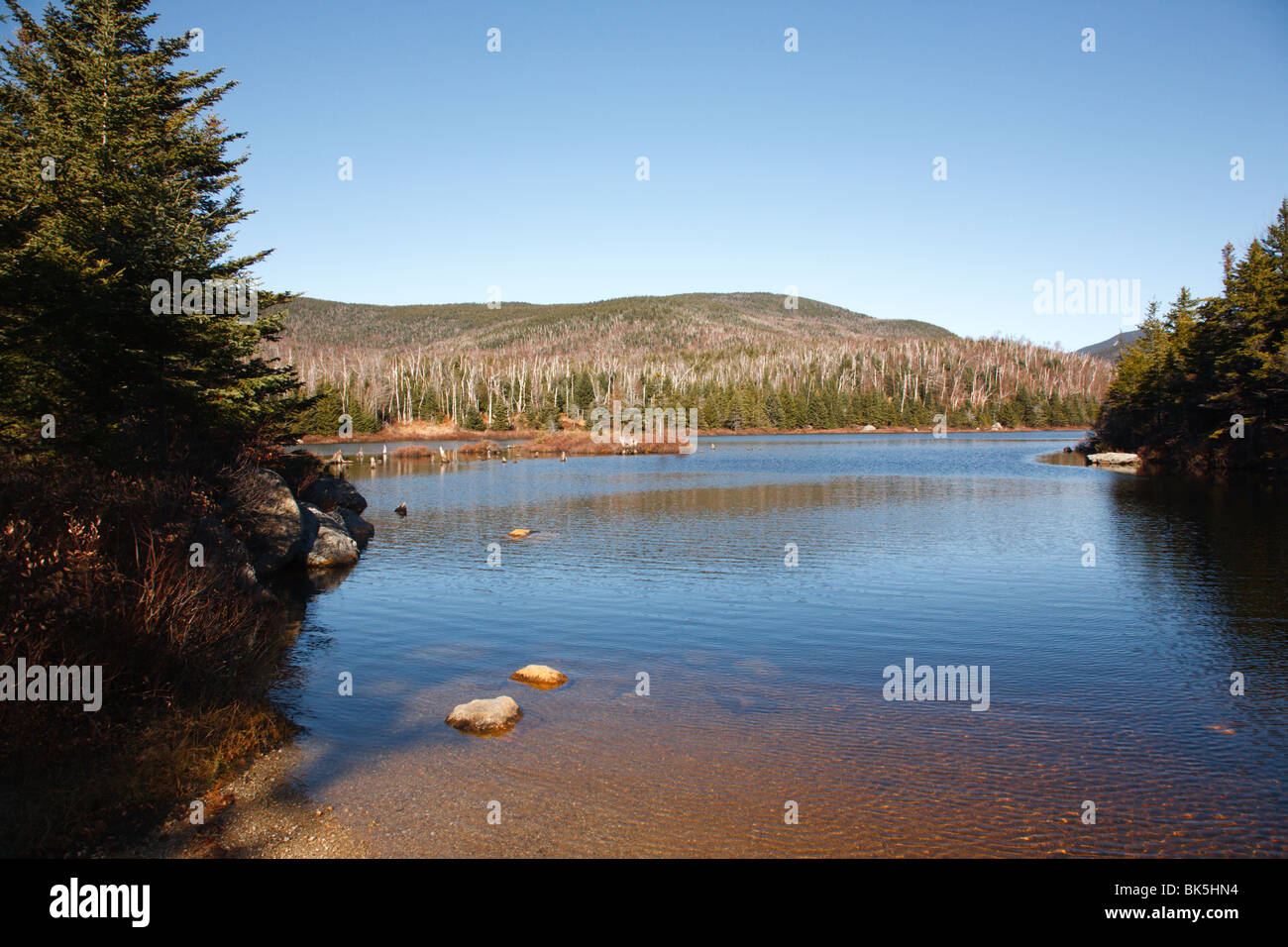 Sandwich Wilderness Flat Mountain Ponds during the autumn months in