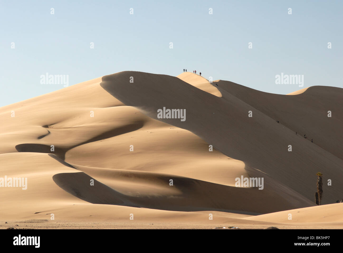 Dune 7, Walvis Bay, Namibia, Africa Stock Photo