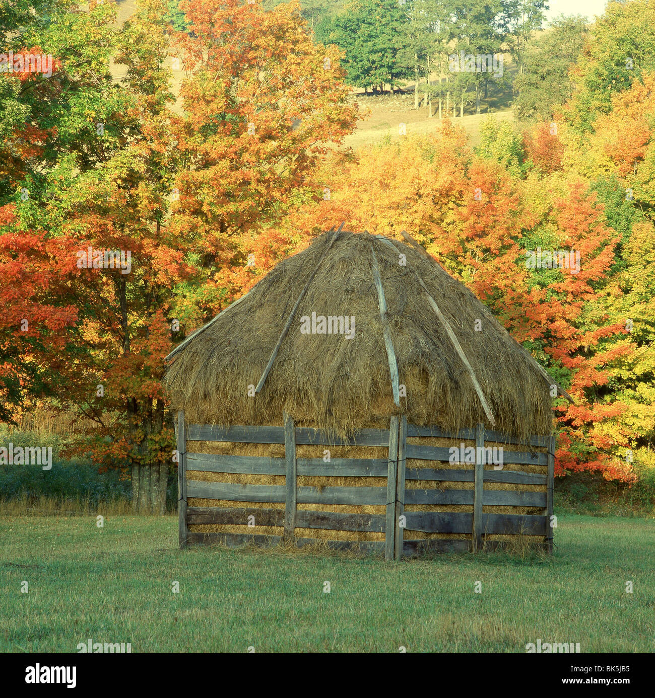 Haystack in a field, Bluegrass, Highland County, Virginia, USA Stock ...