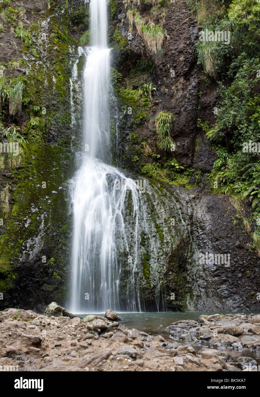Kitekite Falls in the Waitakere Ranges West of Auckland, New Zealand. Stock Photo