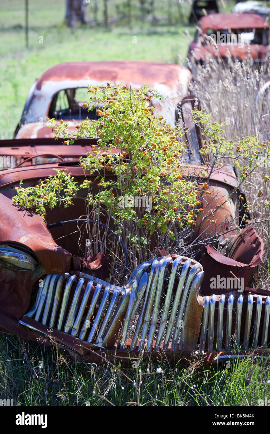 Flynns wrecking yard near Cooma in New South Wales, Australia. It is in