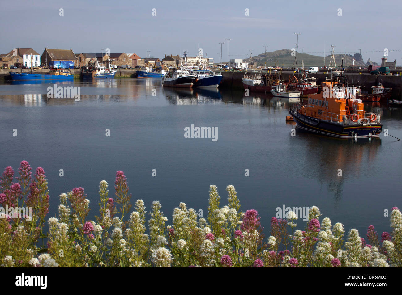 Howth harbour, County Dublin, Republic of Ireland, Europe Stock Photo