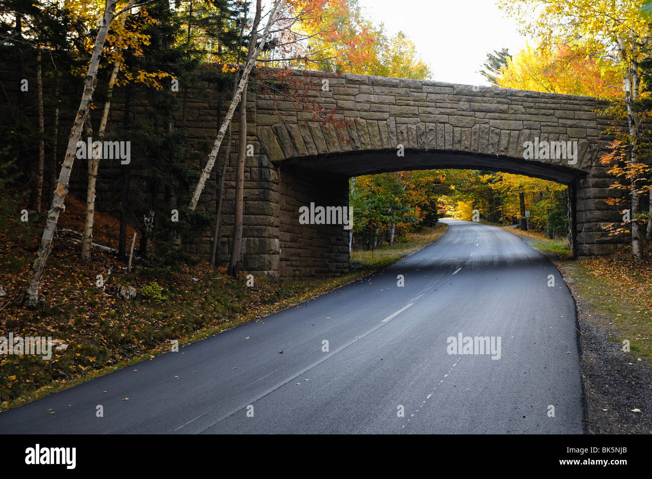 Stone Bridge Over a Carriage Road, Acadia Nat'l Park, Maine Stock Photo