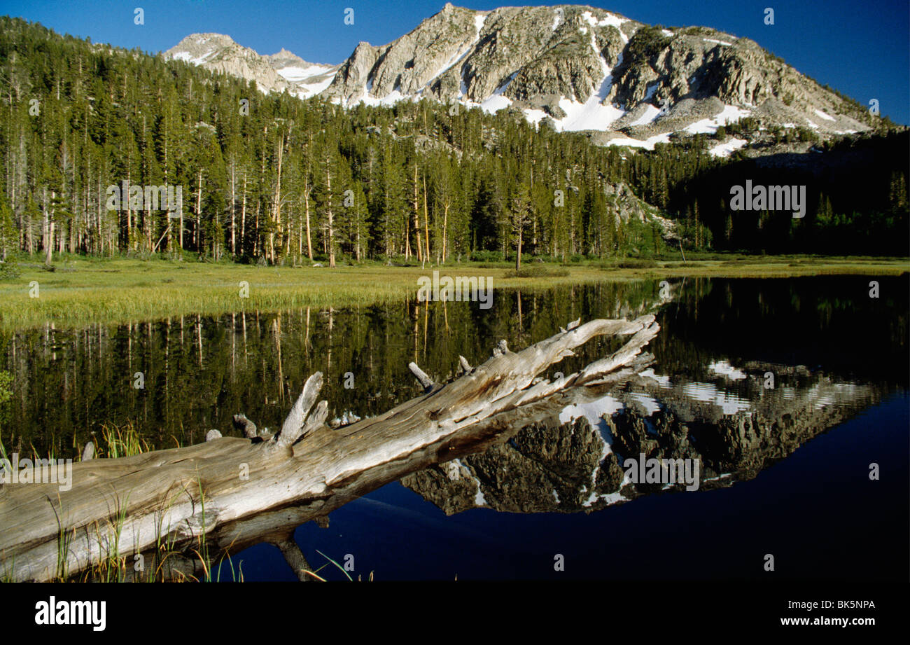 Lamarck Peak  Grass Lake  Sierra Nevada  California, USA Stock Photo