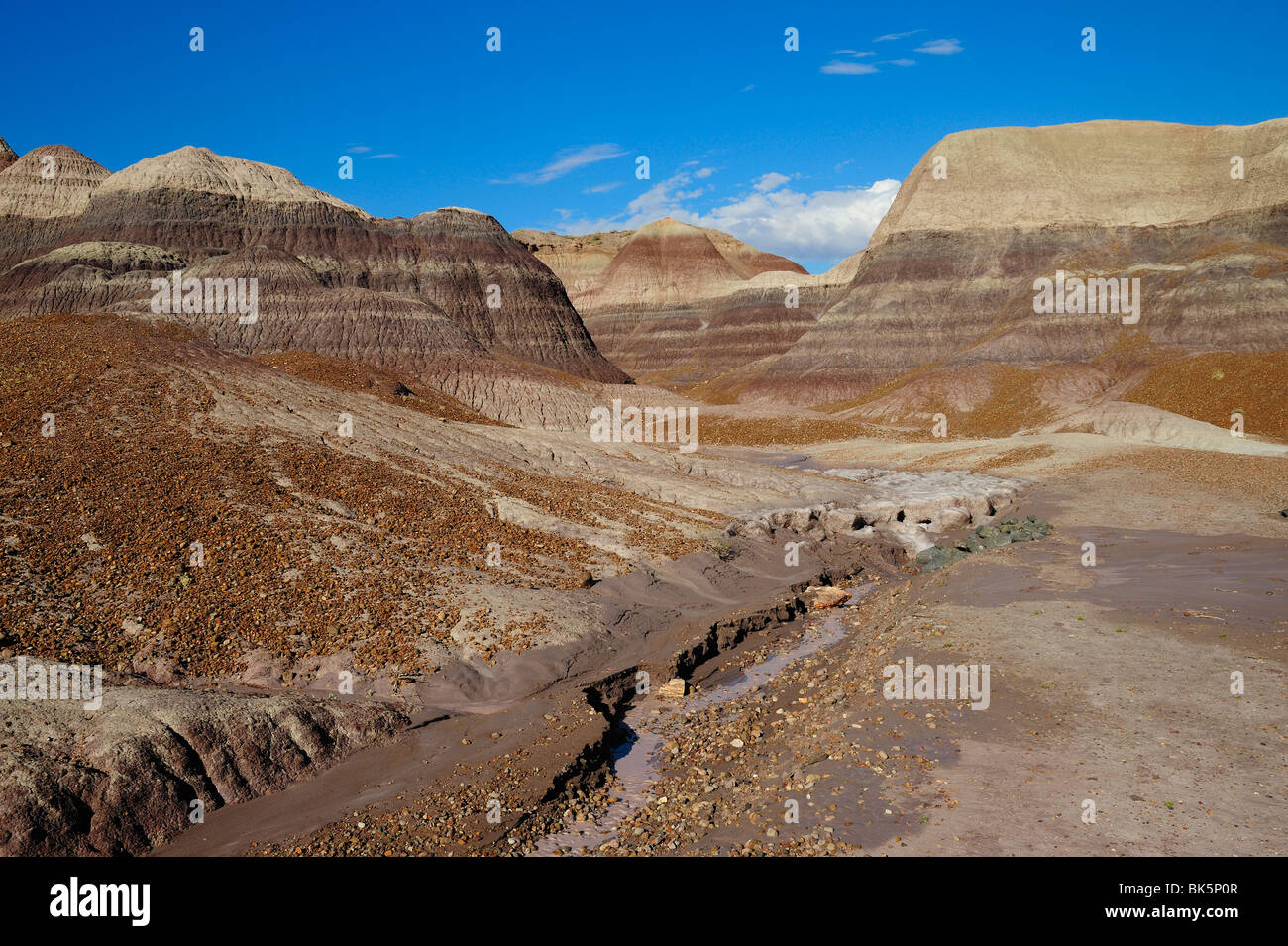 Scenic view on Petrified Forest National Park, Arizona, USA Stock Photo