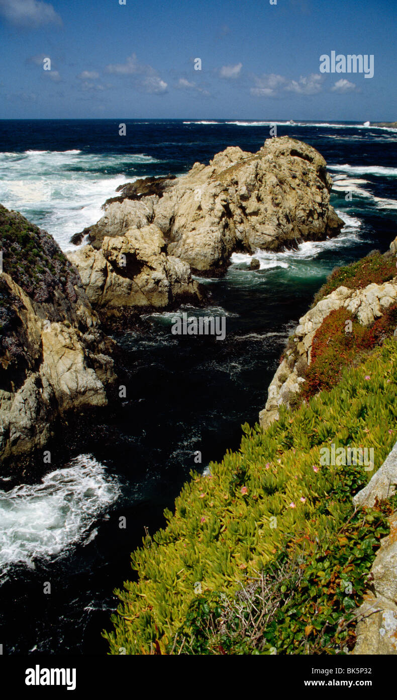 China Cove  Point Lobos State Reserve  California  USA Stock Photo