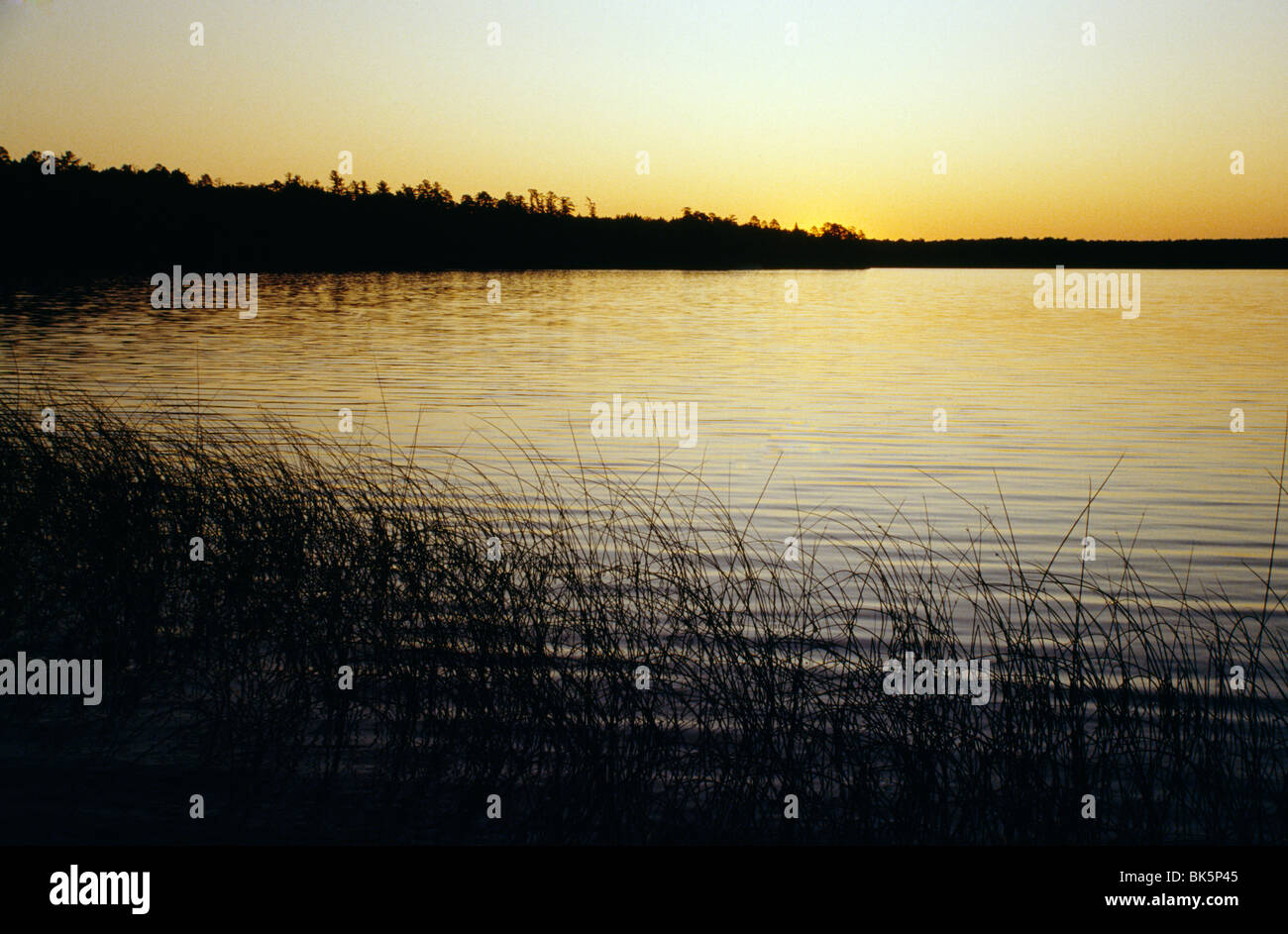 Lake Itasca Itasca State Park Minnesota USA Stock Photo Alamy