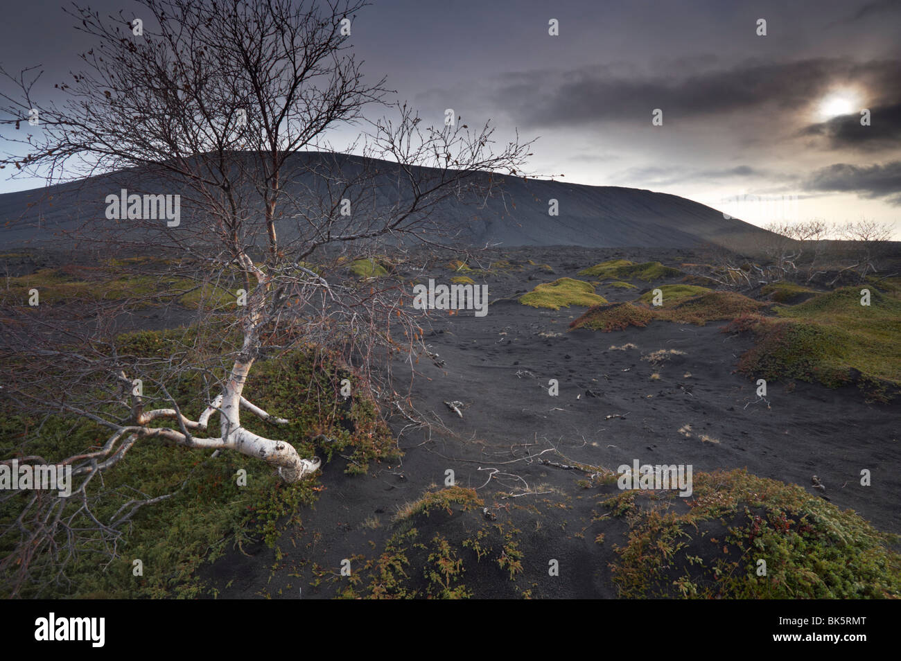 Desolate black ash landscape at the foot of Hverfjall (Hverfell) volcano, Myvatn, northern Iceland, Iceland, Polar Regions Stock Photo