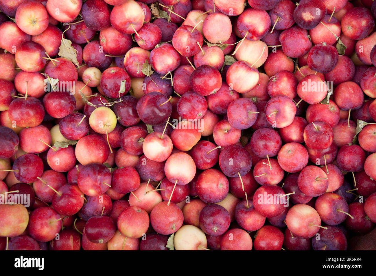 Bc farm stand hires stock photography and images Alamy