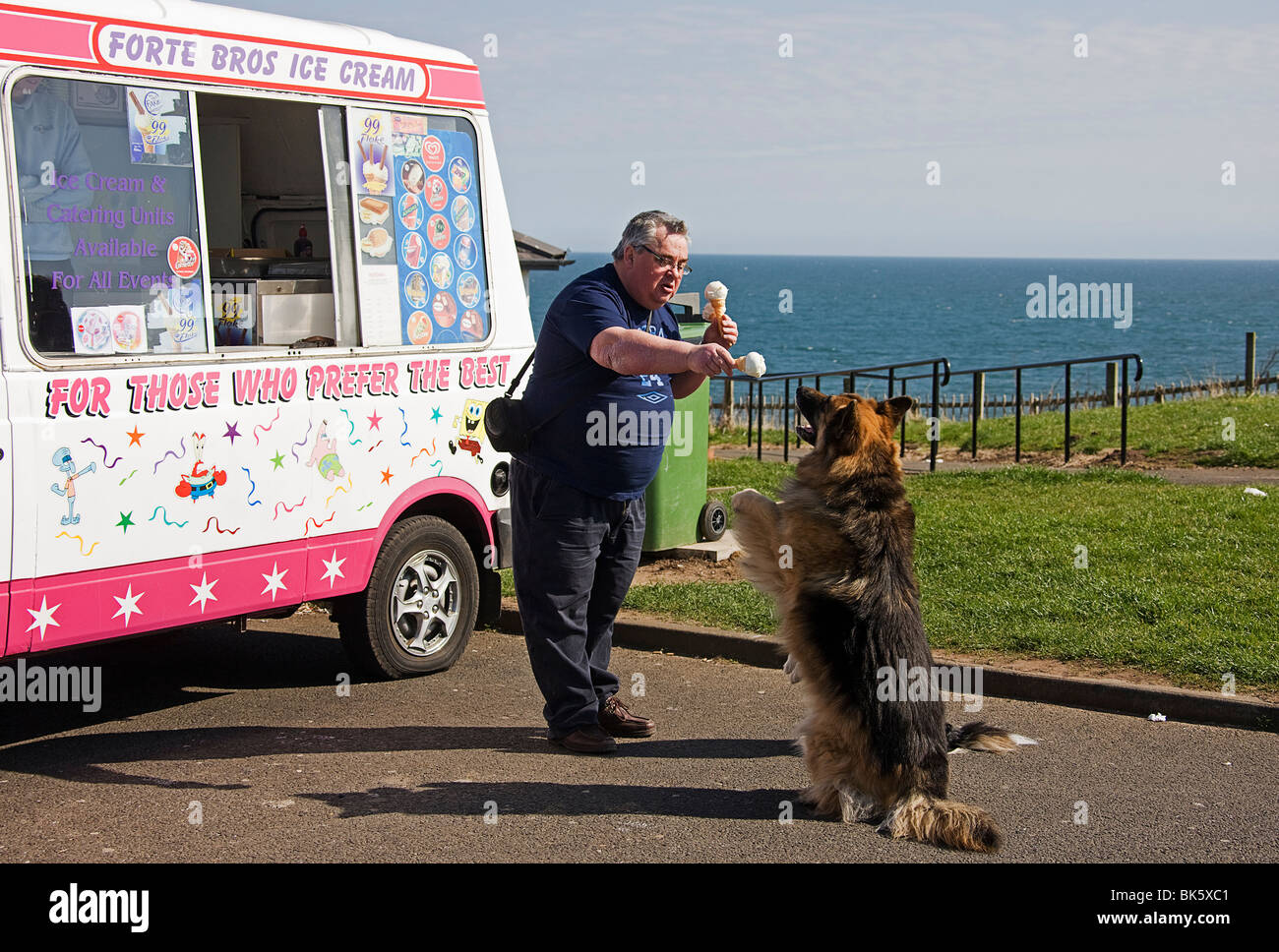 The World's First Ice Cream Truck for Dogs, in England - Eater