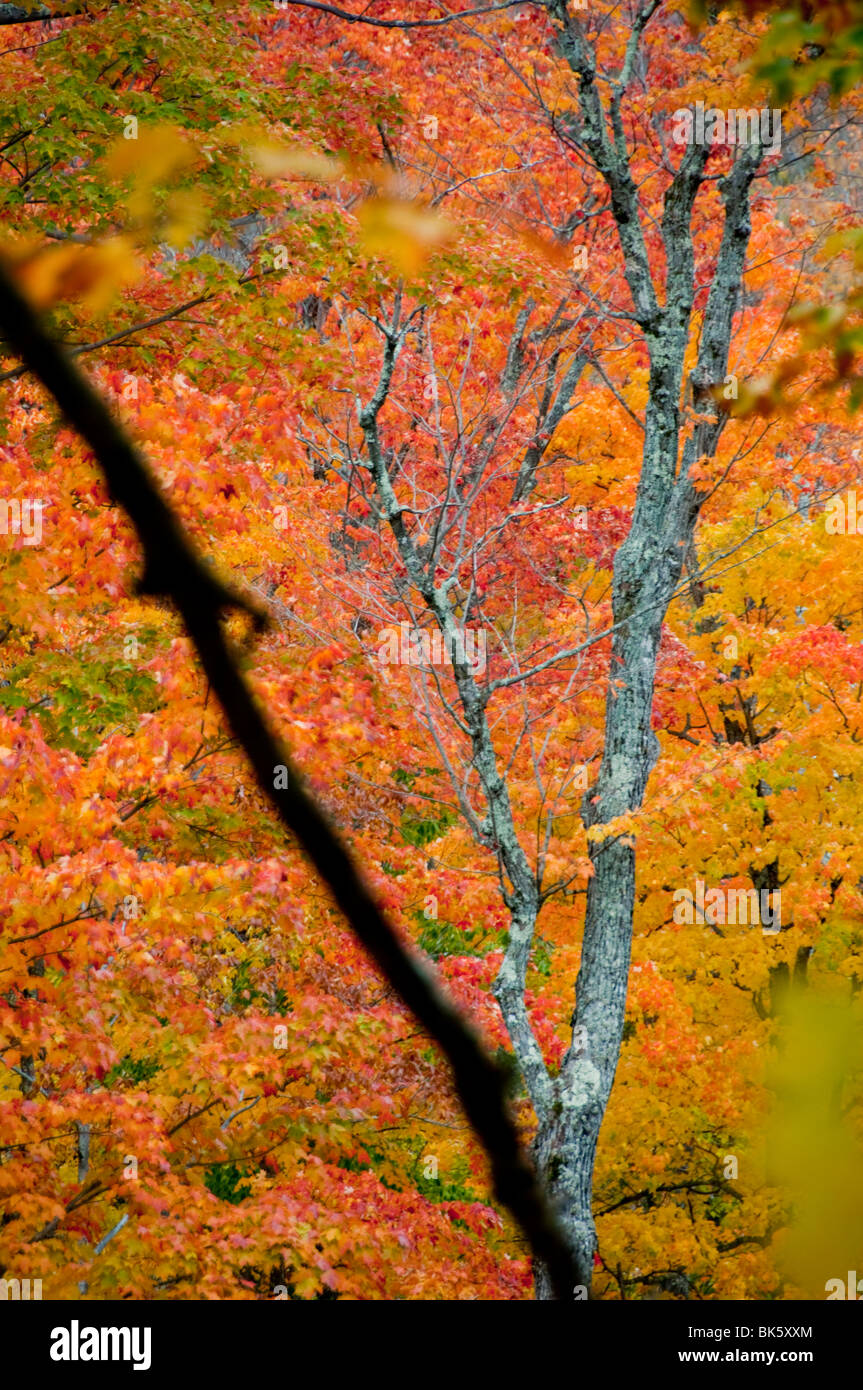 White Mountain National Forest,New Hampshire,USA Stock Photo Alamy