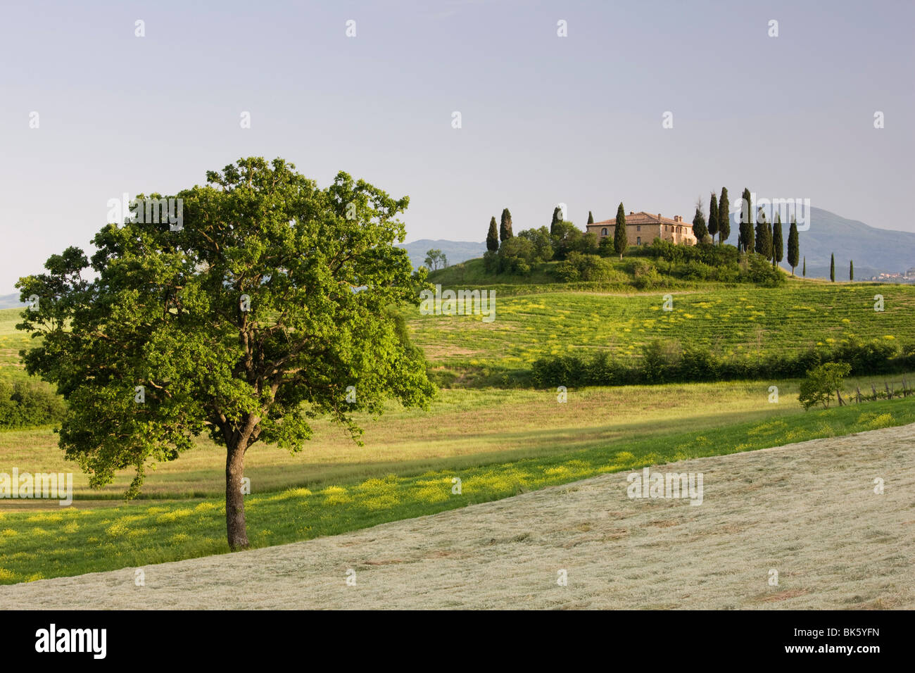 View of Belvedere from Val d'Orcia, San Quirico d'Orcia, near Pienza, Tuscany, Italy, Europe Stock Photo