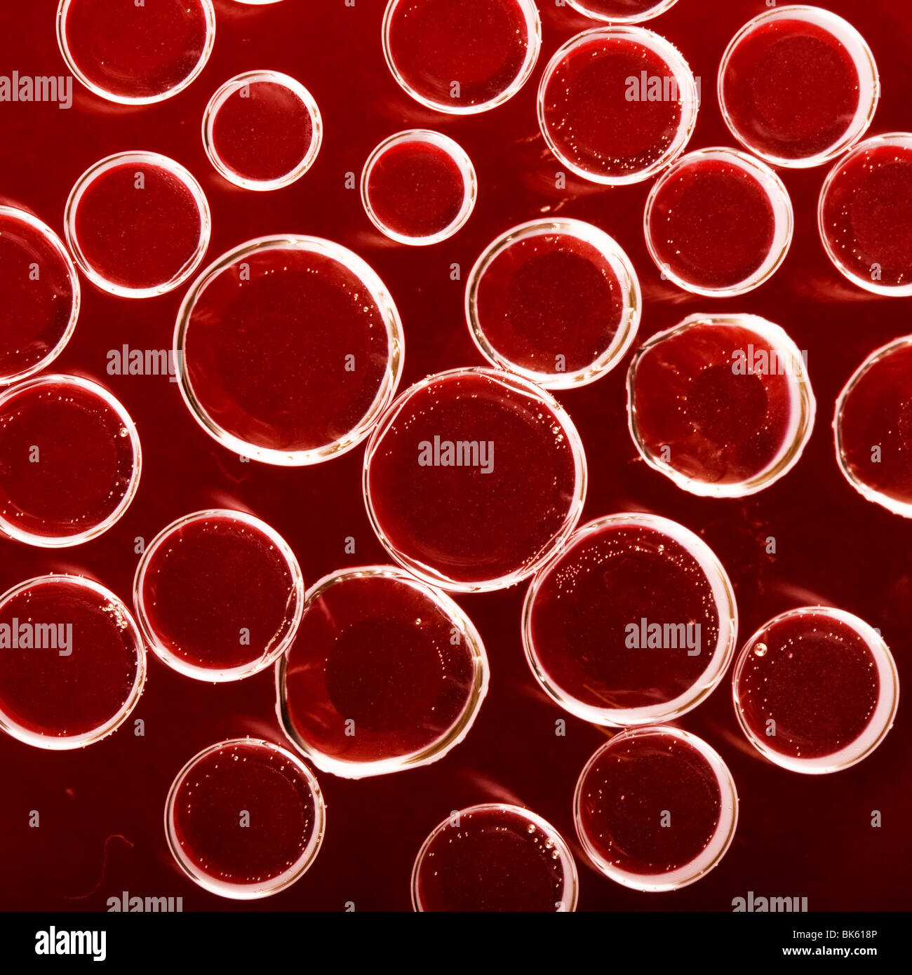 red blood cells Stock Photo Alamy
