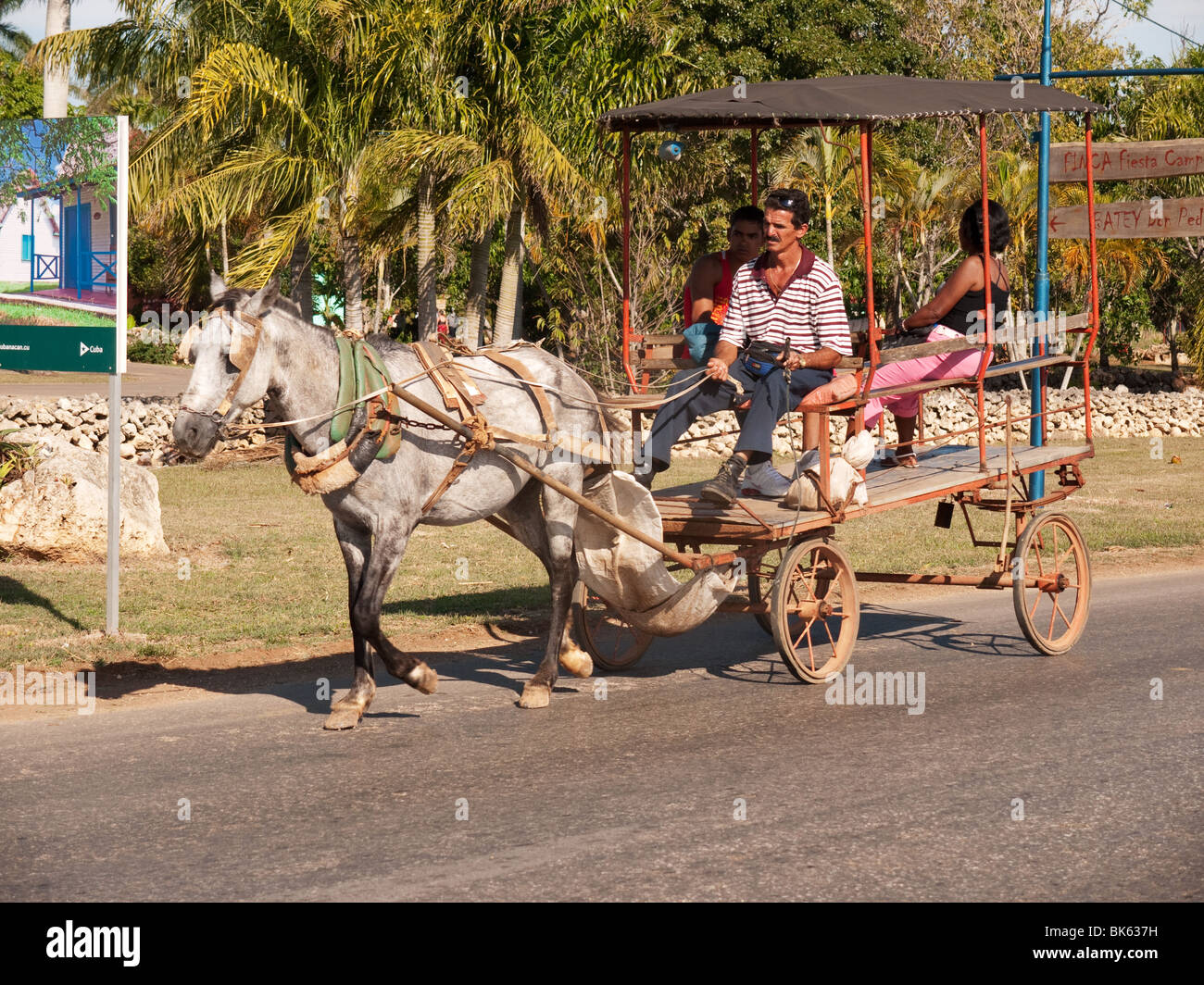 Family Horse and cart or carriage in central Cuba Stock Photo