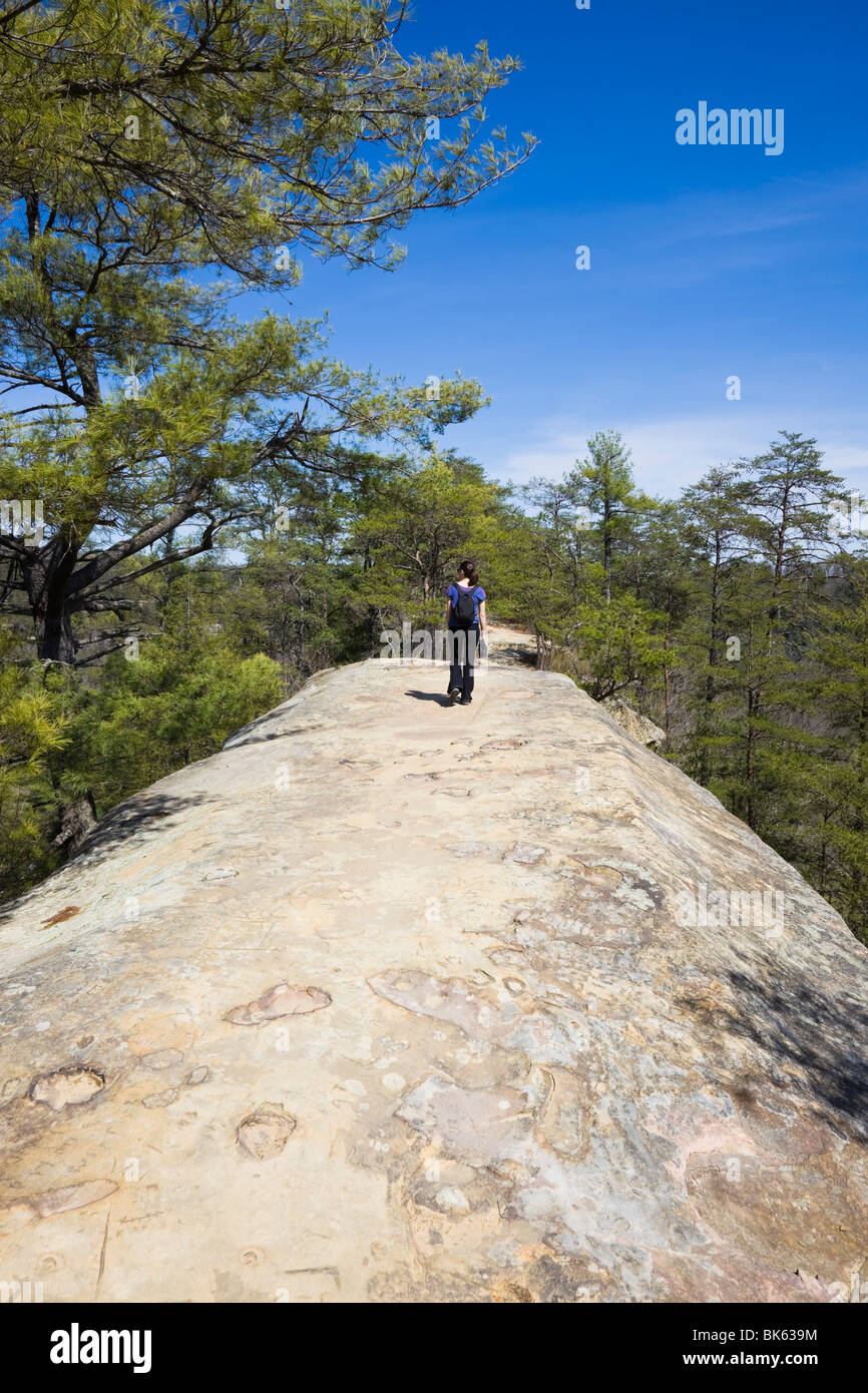 Red River Gorge State Park in Kentucky Stock Photo
