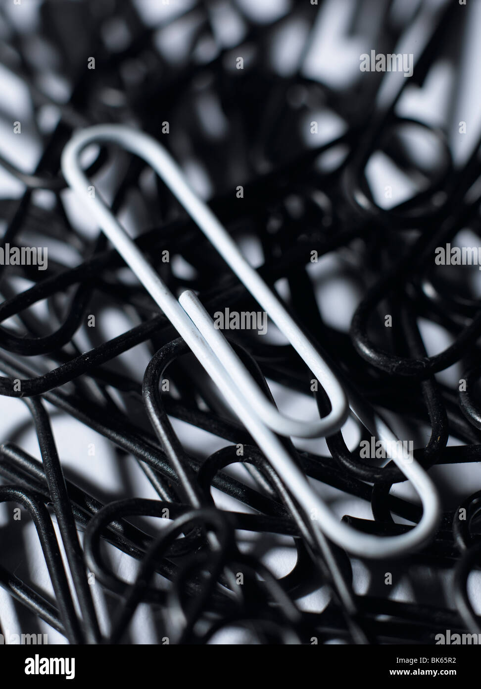 White paper clip on black paper clips Stock Photo Alamy