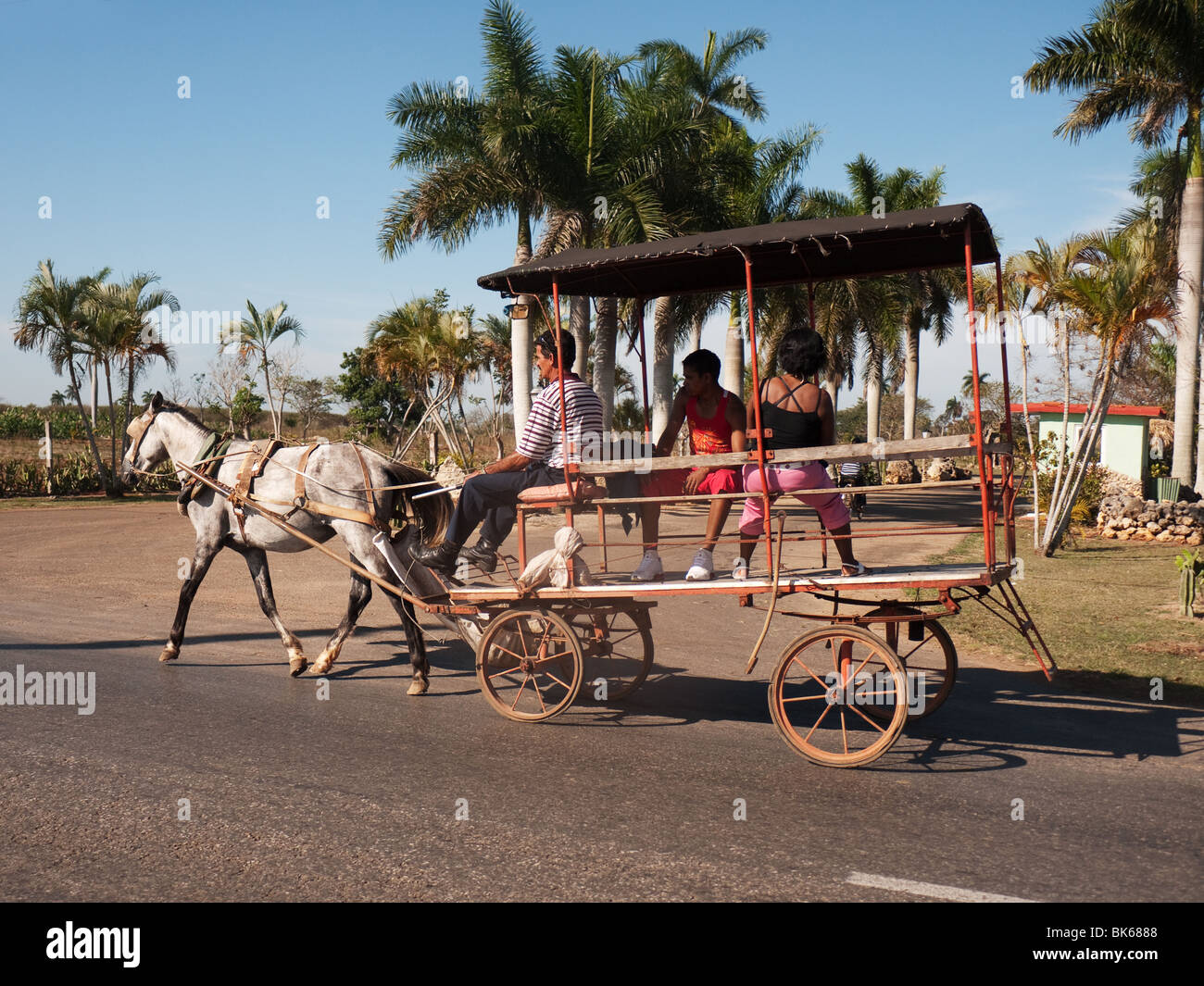 Family Horse and cart or carriage in central Cuba Stock Photo