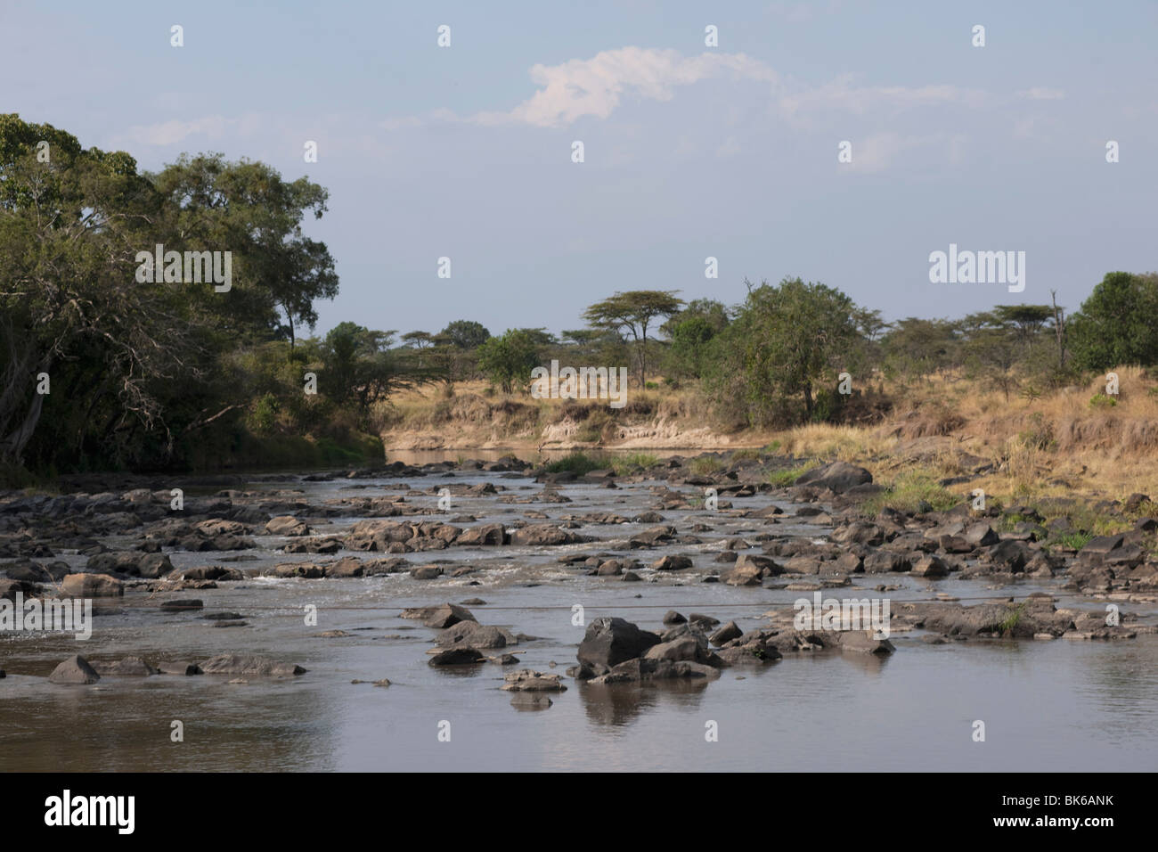 Mara River, Maasai Mara, Kenya, Africa Stock Photo Alamy