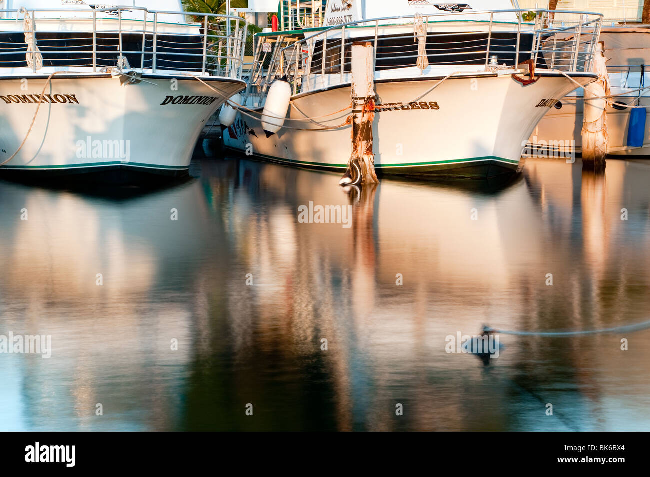 Lahaina Harbor, West Maui Hawaii showing big game fishing boats and
