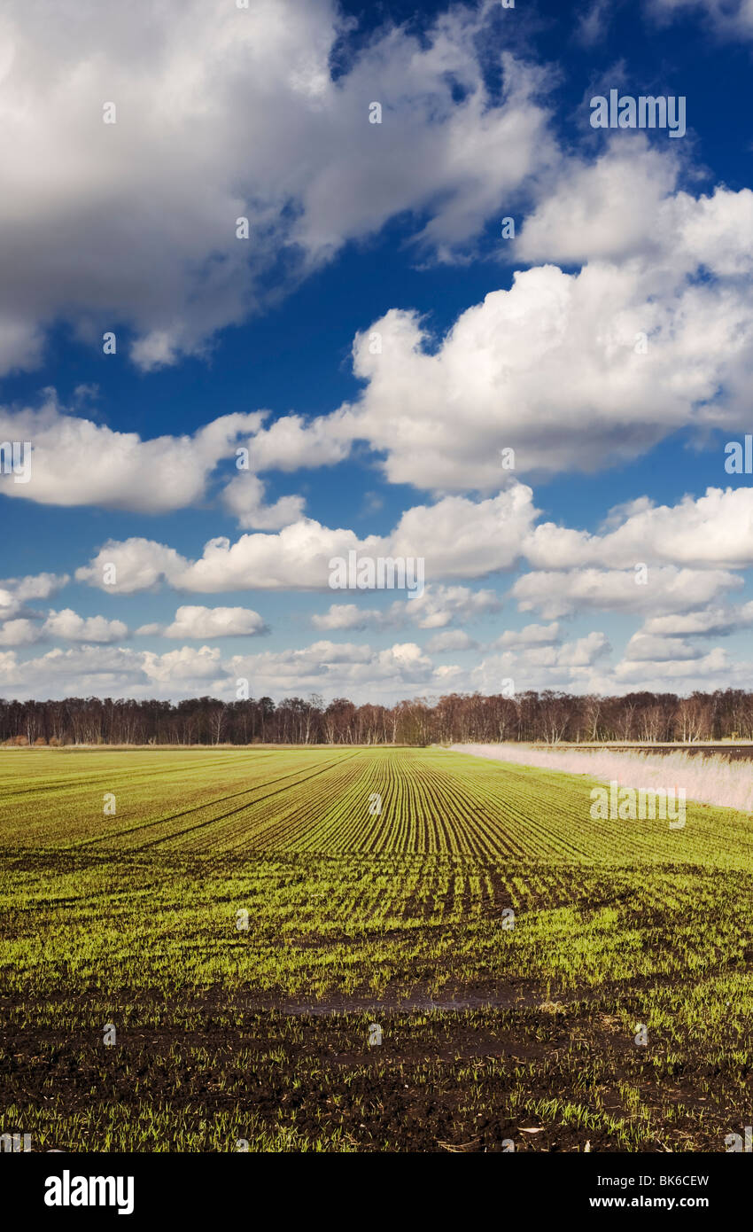 Agricultural Land Woodland Uk Stock Photos & Agricultural Land Woodland Uk Stock Images Alamy