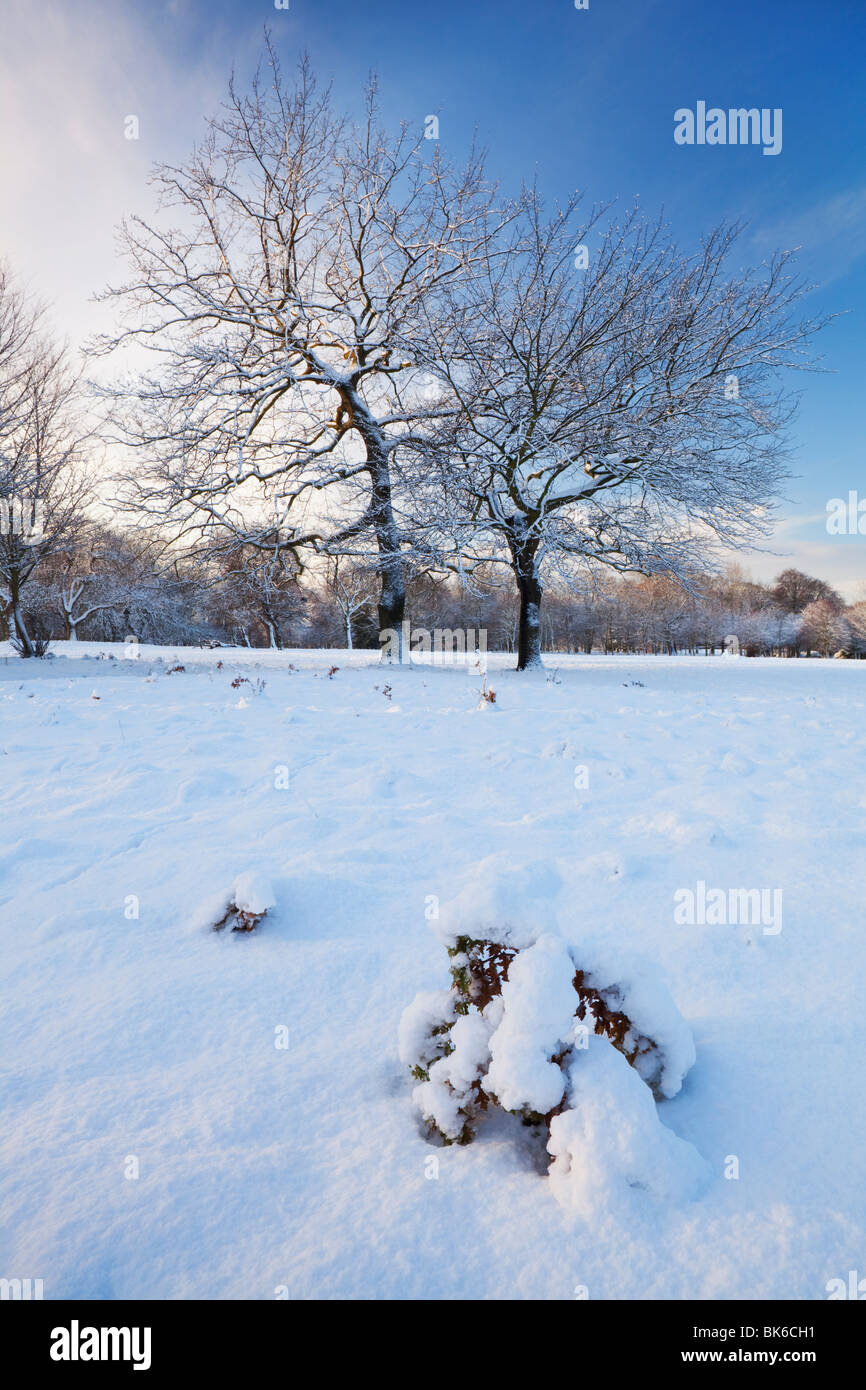 Snow Scene in Sefton Park, Liverpool, Merseyside, 2010 Stock Photo