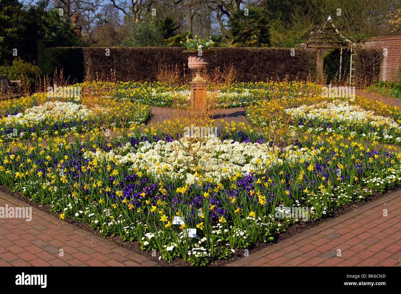 Spring Bedding Flowers and Daffodils In The Walled Garden RHS Wisley Surrey England Stock Photo