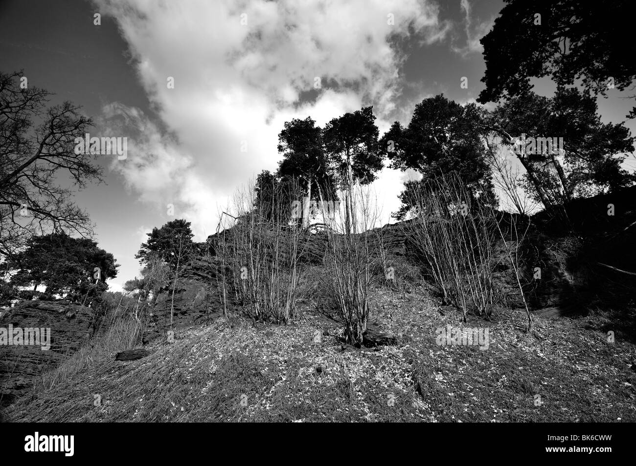 Disused quarry turning wild hires stock photography and images Alamy