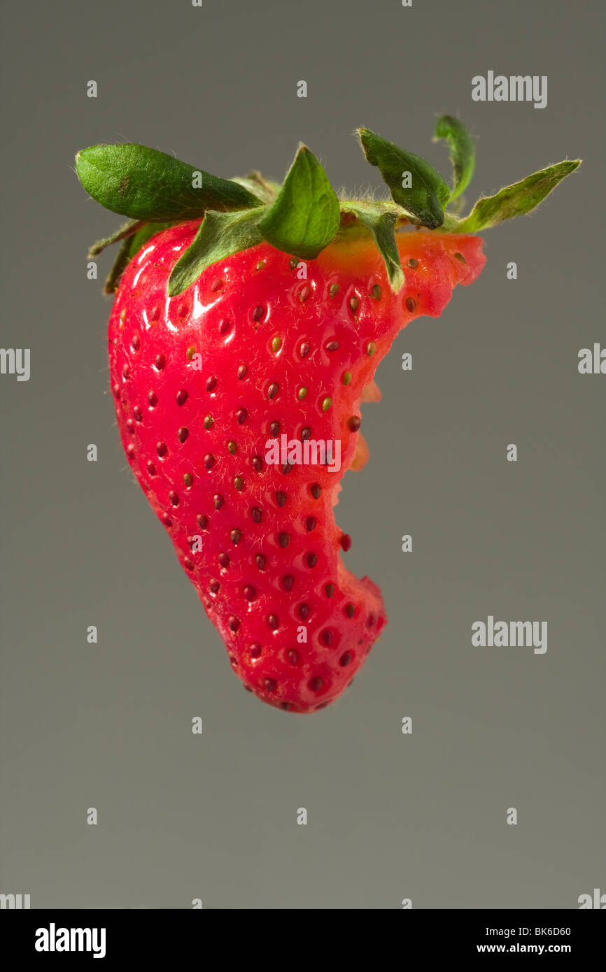 Strawberry with bite taken out on gray background Stock Photo Alamy