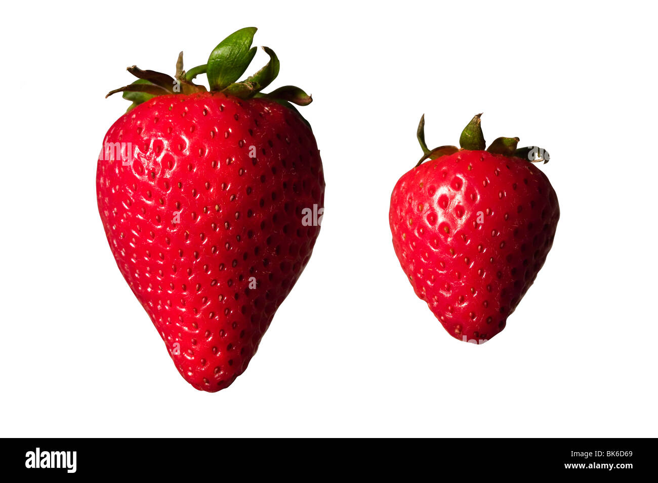 Big small hi-res stock photography and images - Alamy, big small 