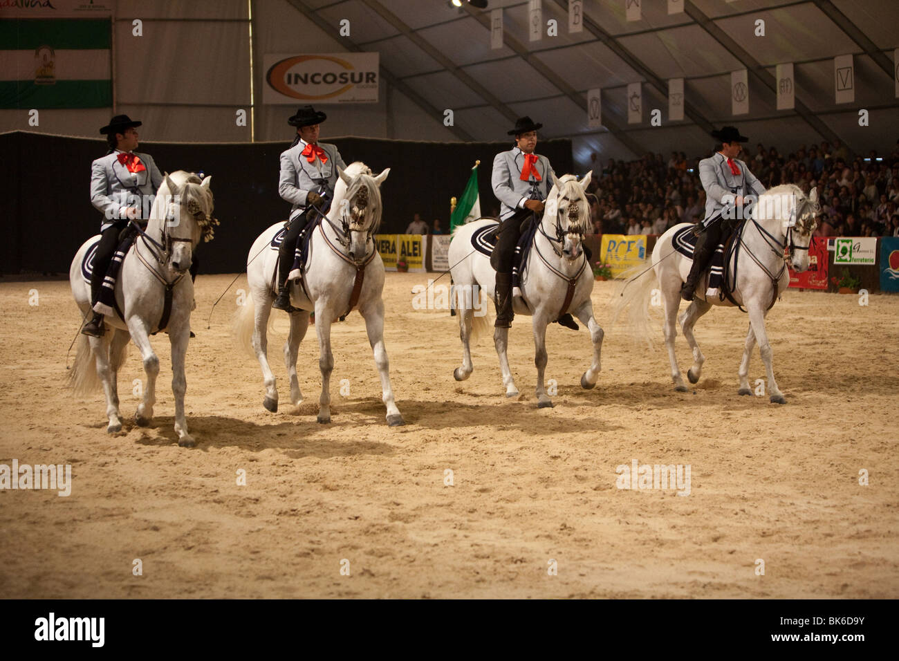 Exhibition of Spanish thoroughbred horses, Spain Stock Photo