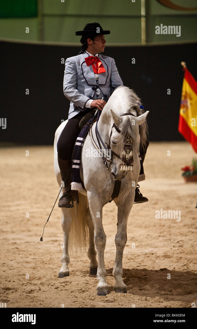 Exhibition of Spanish thoroughbred horses, Spain Stock Photo