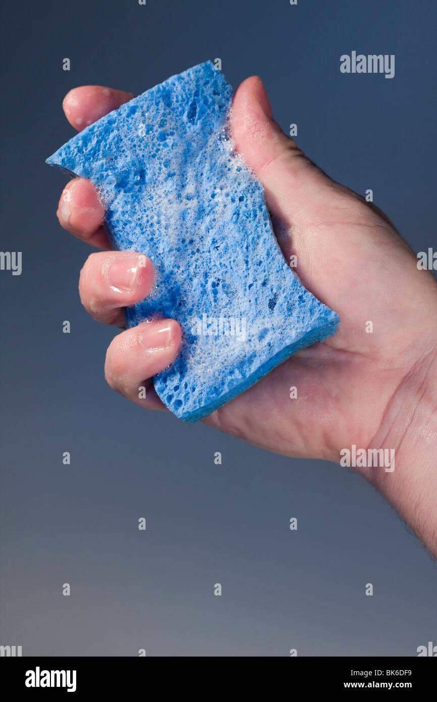 Sponge fingers hires stock photography and images Alamy